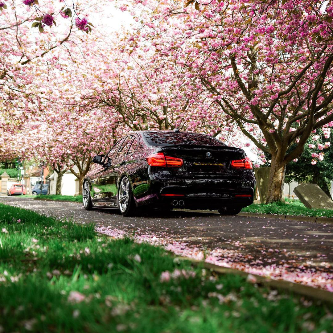 BMW-F3X-3-4-Series The Rosso Corsa Collective