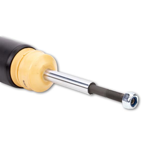 ap Coilover suspension galvanized steel - BMW 1 Series E8X AP Suspension