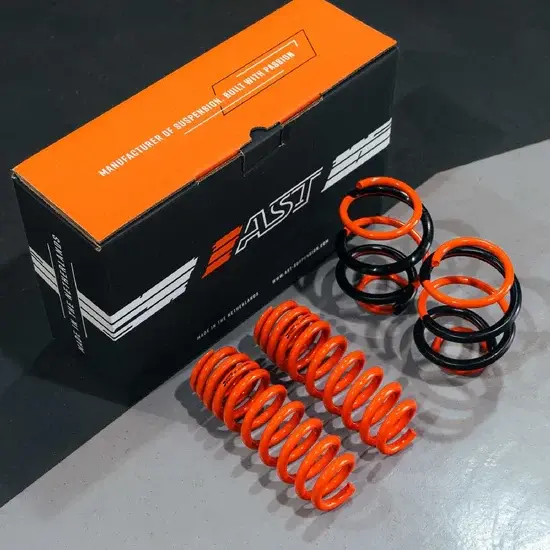 AST Adjustable Lowering Spring Kit (G8X M2/M3/M4) AST Suspension