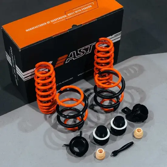 AST Adjustable Lowering Spring Kit (G8X M2/M3/M4) AST Suspension