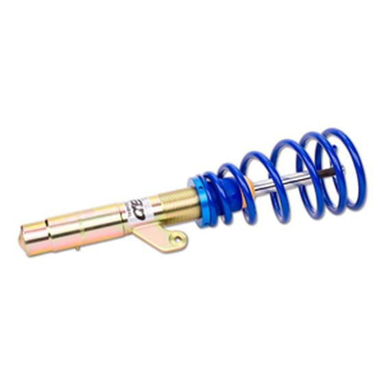 ap Coilover suspension galvanized steel - BMW 1 Series E8X AP Suspension