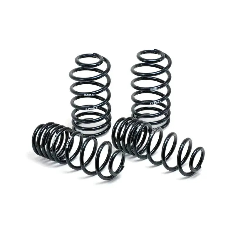 H&R Lowering Springs Renault Megane RS MK3 09+ H&R